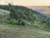 26a St Peters Cl, Mount Lofty, Qld 4350-Image