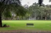 26B Tristania Rise, Duncraig, WA 6023-Image
