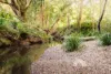 27-31 Forestcreek Place, Wamuran, Qld 4512-Image