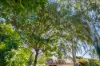 27 Agnes Street, Mount Gambier, SA 5290-Image