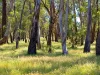 27 Axford Boulevard, Wodonga, Vic 3690-Image