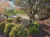 27 Bassel Road, Stanthorpe, Qld 4380-Image