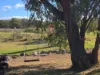 27 Bassel Road, Stanthorpe, Qld 4380-Image