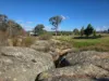 27 Bassel Road, Stanthorpe, Qld 4380-Image