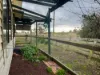 27 Beckwith Street, Clunes, Vic 3370-Image
