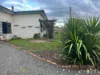 27 Beckwith Street, Clunes, Vic 3370-Image