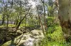 27 Boscobel Road, Londonderry, NSW 2753-Image
