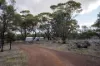 27 Bottlecreek Place, Narrogin, WA 6312-Image