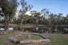 27 Bottlecreek Place, Narrogin, WA 6312-Image