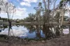 27 Bottlecreek Place, Narrogin, WA 6312-Image