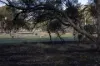 27 Bottlecreek Place, Narrogin, WA 6312-Image
