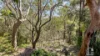 27 Bridge Road, Blaxland, NSW 2774-Image