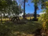 27 Couchmans, Kingaroy, Qld 4610-Image