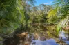 27 Currawong Place, Bellmere, Qld 4510-Image