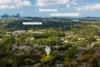 27 Graham Street, Indooroopilly, Qld 4068-Image