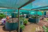 27 Hale Street, Renmark, SA 5341-Image