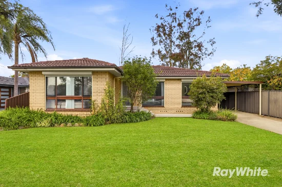 27 Hennesy Crescent, Shalvey, NSW 2770