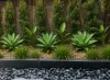 27 Illusion Place, Coomera Waters, Qld 4209-Image