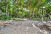 27 Inarlinga Road, Cowley Beach, Qld 4871-Image