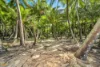 27 Inarlinga Road, Cowley Beach, Qld 4871-Image