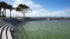 27  Ingleston Street, Wynnum West, Qld 4178-Image
