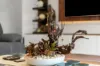 27 Leighton Drive, Edens Landing, Qld 4207-Image