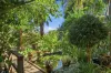 27 Lyon Street, Bellingen, NSW 2454-Image