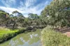 27 Malurus Avenue, Lockleys, SA 5032-Image