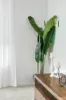 27 Maudsley Crescent, Collingwood Park, Qld 4301-Image