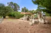 27 OAK WAY, Baldivis, WA 6171-Image