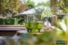 27 Ollerton Avenue, Newborough, Vic 3825-Image