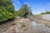 27 Park Terrace, Maitland, SA 5573-Image