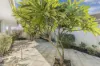 27 RAMBURES WAY, Hamilton Hill, WA 6163-Image