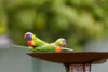 27 Rawle Street, Camira, Qld 4300-Image