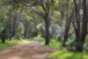 27 Ridgeway Drive, Quedjinup, WA 6281-Image