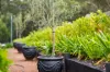27 Robinson Street, Mittagong, NSW 2575-Image