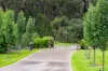 27 Robinson Street, Mittagong, NSW 2575-Image