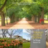 27 Rossiter Retreat, Cranbourne North, Vic 3977-Image