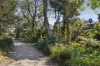 27 Surfside Avenue, Clovelly, NSW 2031-Image