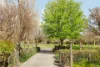 27 Suttor Street, Ainslie, ACT 2602-Image