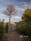 27 Triton Road, East Devonport, Tas 7310-Image