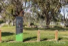 27 Turana Street, Doncaster, Vic 3108-Image