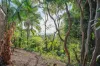 27 Vista Park Drive, Buderim, Qld 4556-Image