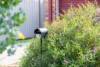 27 Warner Street, Raceview, Qld 4305-Image