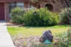27 Warner Street, Raceview, Qld 4305-Image