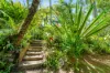 27 Warril Drive, Kuranda, Qld 4881-Image