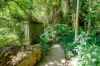 27 Warril Drive, Kuranda, Qld 4881-Image