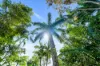 27 Warril Drive, Kuranda, Qld 4881-Image