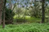 27 Whiteside Road, Whiteside, Qld 4503-Image