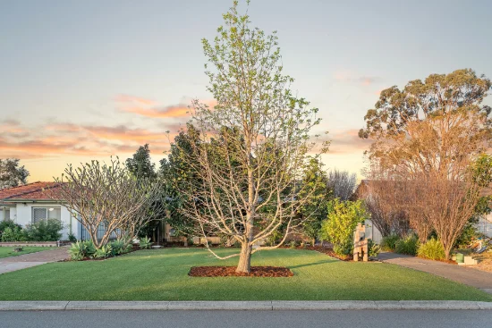 27 Williamson Avenue, Belmont WA 6104-Image